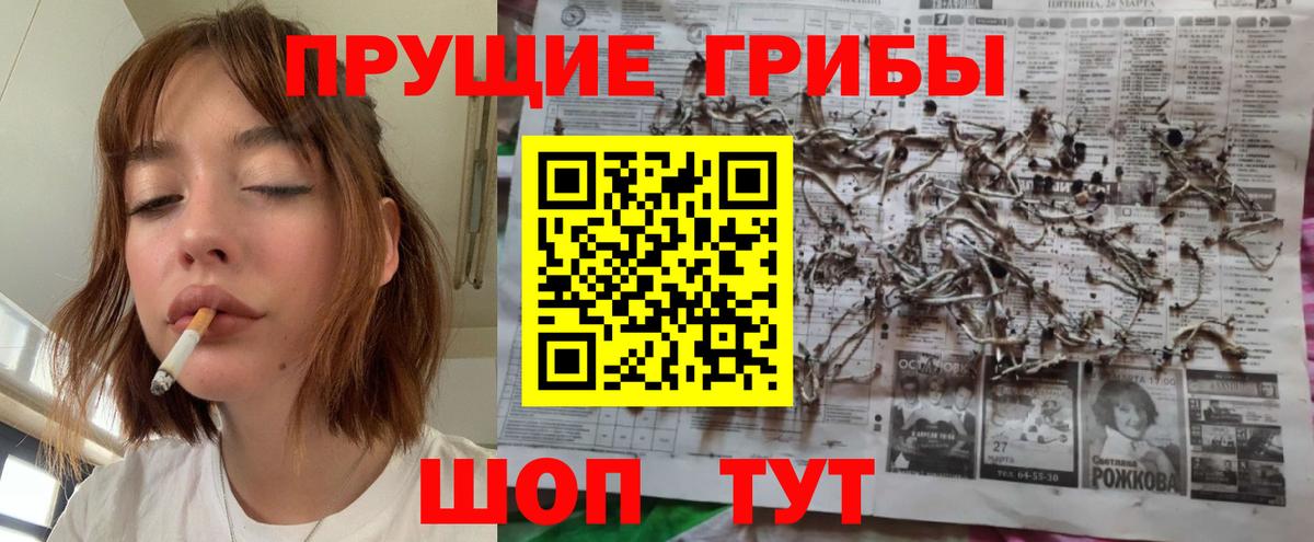 Рязань  цена наркотик  Вход с VPN  Псилоцибиновые грибы Cubensis 