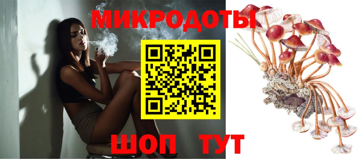 Псилоцибиновые грибы Cubensis Рязань